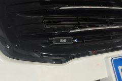Intake Grille