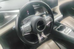 2024 BYD Dolphin 2023 420km Fashion #15