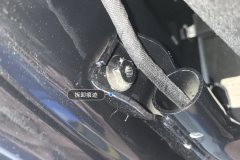 Trunk Lid
