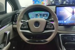 2024 BYD Tang PHEV 2024 1.5T AT DM-i Glory 112KM Premium #15