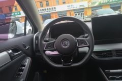 2019 BYD Tang PHEV 2018 2.0T AT DMSmart ConnectChuang Rui4WD HEV #15