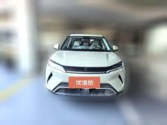 2025 BYD Yuan UP 2025 301KM Pilot #2