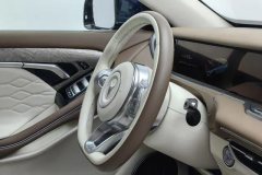 2021 Voyah Free 2021 4WDStandardEREVExclusiveLuxury Pkg #23