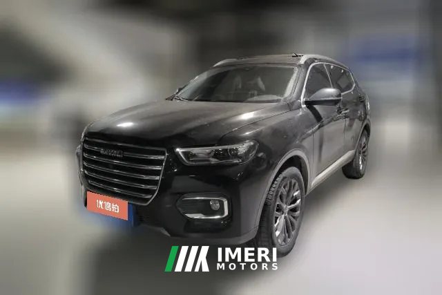 2019 Haval H6 2020 1.5T AT PlatinumChampion