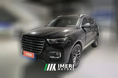 2019 Haval H6 2020 1.5T AT PlatinumChampion