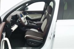 2022 Geely Auto Xingyue L 2021 2.0TD AT DCT EVO2WDSmart Premium #13
