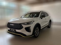 2022 Haval Chitu 2022 Power Enjoy 1.5T AT brass rabbit #1