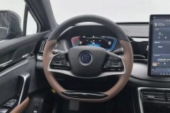 2021 BYD Tang PHEV 2021 1.5T AT DM-i 112KM Premium #15