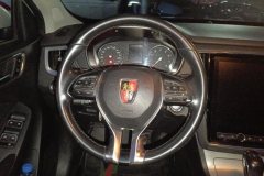 2019 Roewe RX5 2020 1.5T AT 20T 4GConnectedSurpass #15