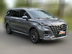 2023 Roewe iMAX8 EV 2022 silverEdition #3