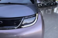 2022 BYD Dolphin 2021 405km Fashion #5