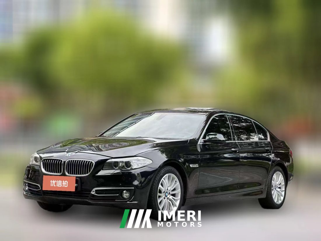 2017 BMW 5 Series 2017 2.0T AT 525LiLuxuryDesign Pkg