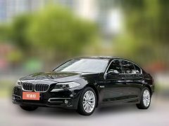 2017 BMW 5 Series 2017 2.0T AT 525LiLuxuryDesign Pkg #1