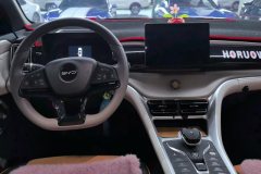 2024 BYD Song Pro PHEV 2024 Glory 1.5L AT DM-i 71KMPilot #12