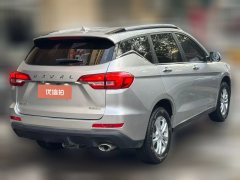 2020 Haval M6 2019 1.5T MT Elite China VI #8