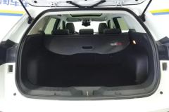 2021 Haval H6 2021 1.5T AT ChampionGDI #4