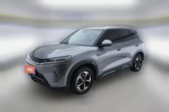 2024 BYD Yuan UP 2024 401KM Surpass #1