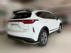 2022 Haval Chitu 2022 Power Enjoy 1.5T AT brass rabbit #8
