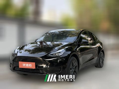 2024 Tesla Model Y 2024 rear wheel driveEdition