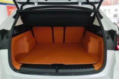 2023 BMW X1 2023 2.0T AT xDrive25Li XDesign Pkg #4