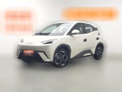 2025 BYD Seagull 2025 305km vitalityEdition #1