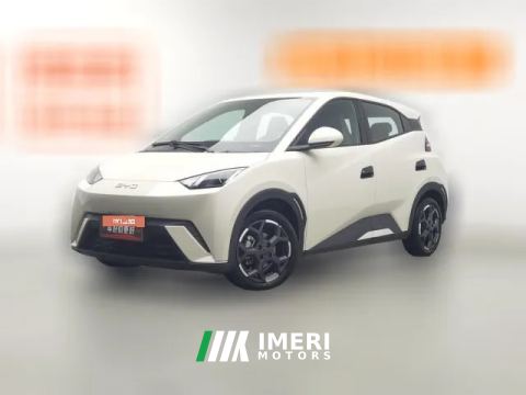 2025 BYD Seagull 2025 305km vitalityEdition