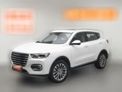 2020 Haval H6 2020 1.5T AT PlatinumChampion #1