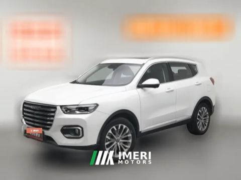 2020 Haval H6 2020 1.5T AT PlatinumChampion