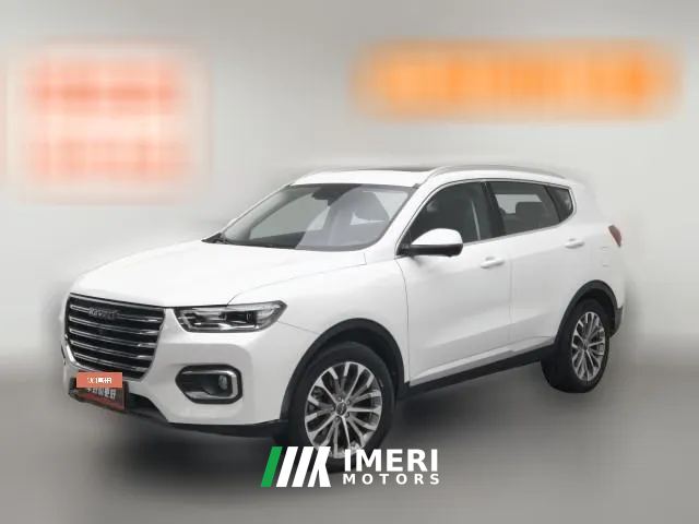 2020 Haval H6 2020 1.5T AT PlatinumChampion