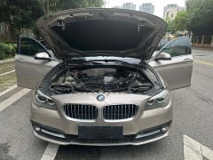 2016 BMW 5 Series 2014 2.0T AT 528LiLeading #9