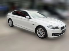2015 BMW 5 Series 2014 2.0T AT 528LiLeading #3
