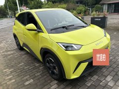 2024 BYD Seagull 2024 Glory 405KM flyEdition #10
