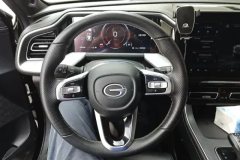 2023 GAC Trumpchi Trumpchi GS8 2022 PilotSeries 2.0TGDI AT 2WDLuxurySmart Connect（7Seat） #15