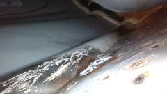 Left Rear Fender