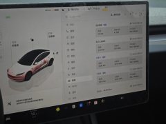 2024 Tesla Model 3 2023 Long Rangeall wheel driveEdition #12
