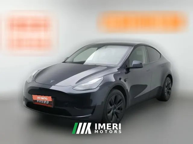 2024 Tesla Model Y 2024 rear wheel driveEdition