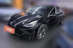 2021 Tesla Model 3 2020 StandardBattery lifeRWDUpgradeEdition #1