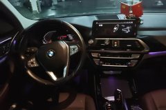2019 BMW X3 2020 2.0T AT 25iLuxury Pkg4WD #12