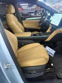 2024 BYD Song L DM-i 2024 1.5L AT 160km Surpass #13