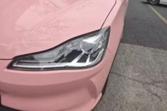 2022 Neta V 2022 AT tide 400 Lite Pink customization #5