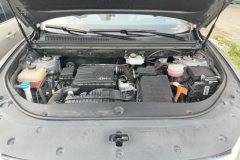 2023 BYD Song Pro PHEV 2023 Champion 1.5L AT DM-i 71KMLeading #10