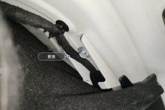 Trunk Lid