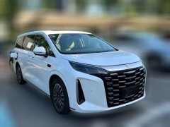 2025 BYD Xia 2025 DM-i 1.5T AT 180km Surpass #5
