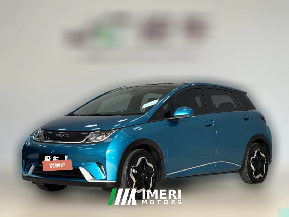 2022 BYD Dolphin 2021 405km Fashion