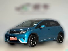 2022 BYD Dolphin 2021 405km Fashion #1