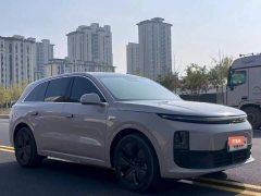 2024 Li Auto Li Auto L6 2024 pro #9