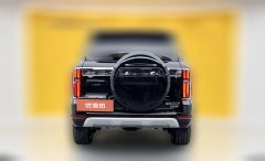 2025 Tank 500 PHEV 2024 Hi4-T 2.0T AT #29