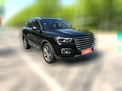 2018 Haval H6 2018 Red Label 2.0T AT Luxury #3