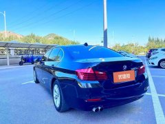 2016 BMW 5 Series(Imported) 2015 2.0T AT 520iElegant (Imported) #6