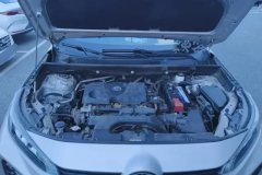 2020 Toyota Wildlander 2020 2.0 AT Luxury FWD #10